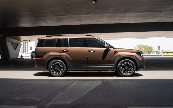  Коричневый Hyundai Santa Fe Photo 3