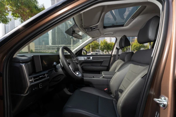  Коричневый Hyundai Santa Fe Photo 5
