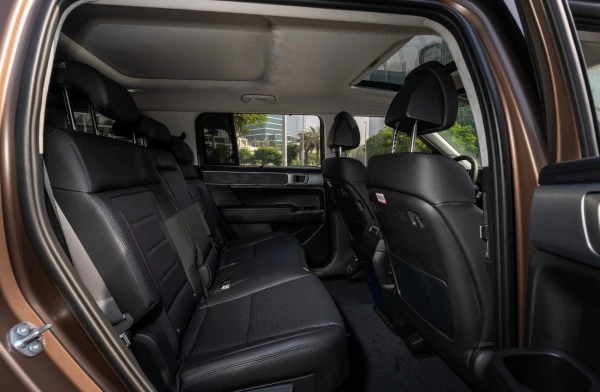  Коричневый Hyundai Santa Fe Photo 6