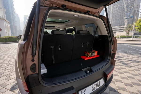  Коричневый Hyundai Santa Fe Photo 8