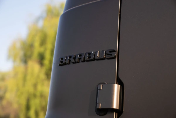  Коричневый Mercedes G 900 Photo 9