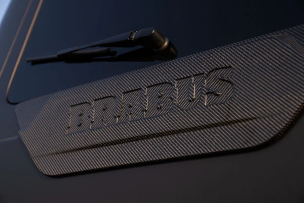  Коричневый Mercedes G 900 Photo 15