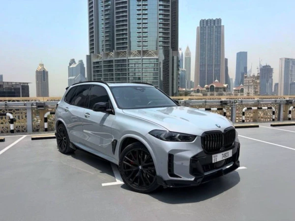  Grau BMW X5 Photo 3