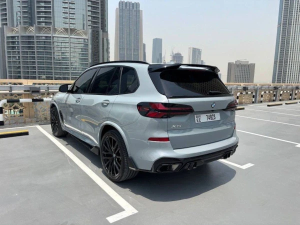  Grau BMW X5 Photo 6