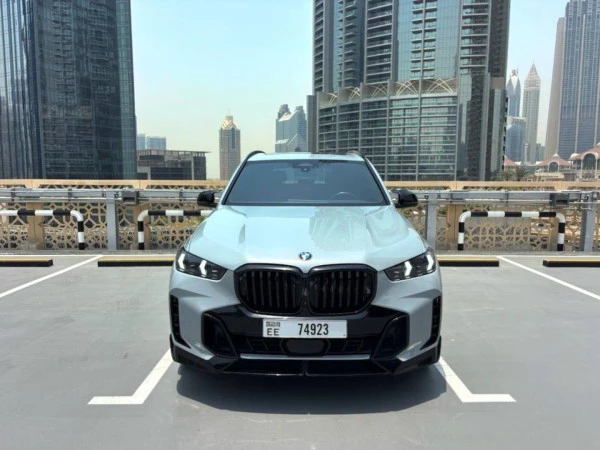  Grau BMW X5 Photo 8