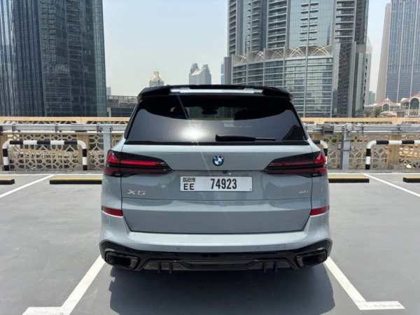  Grau BMW X5 Photo 9