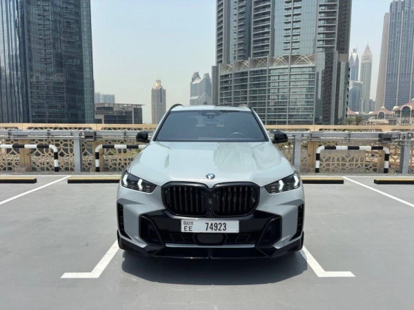  Grau BMW X5 Photo 10