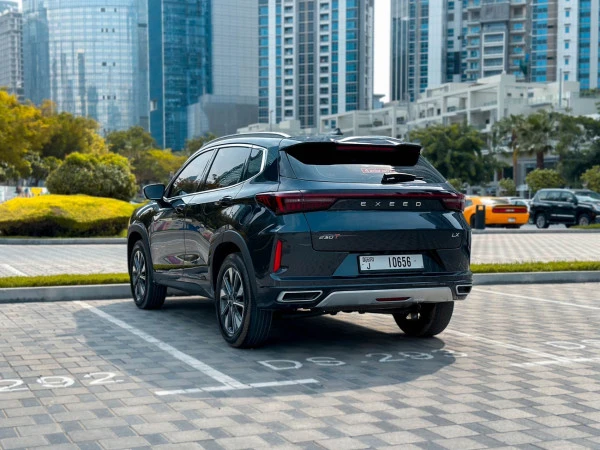  اللون الرمادي إكسيد LX Photo 6