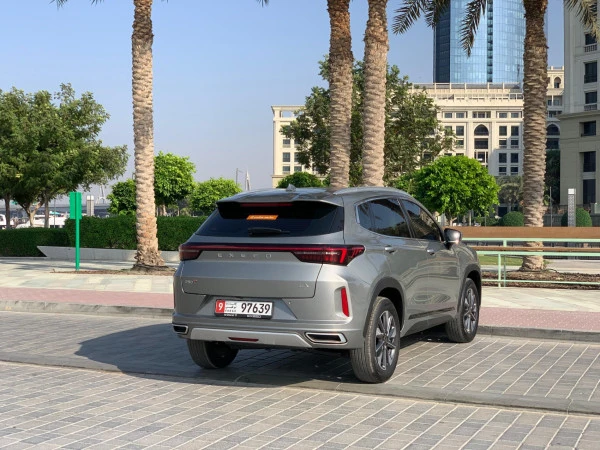  اللون الرمادي إكسيد LX Photo 9