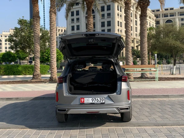  اللون الرمادي إكسيد LX Photo 10