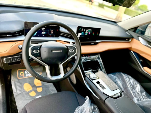  اللون الرمادي هافال H6 Photo 3