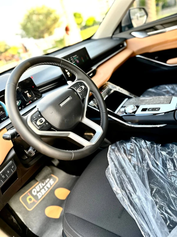  اللون الرمادي هافال H6 Photo 5