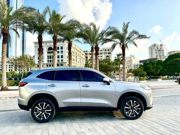  اللون الرمادي هافال H6 Photo 9