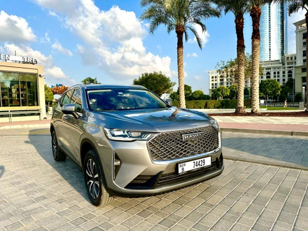  اللون الرمادي هافال H6 Photo 11