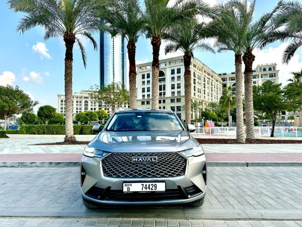  اللون الرمادي هافال H6 Photo 12