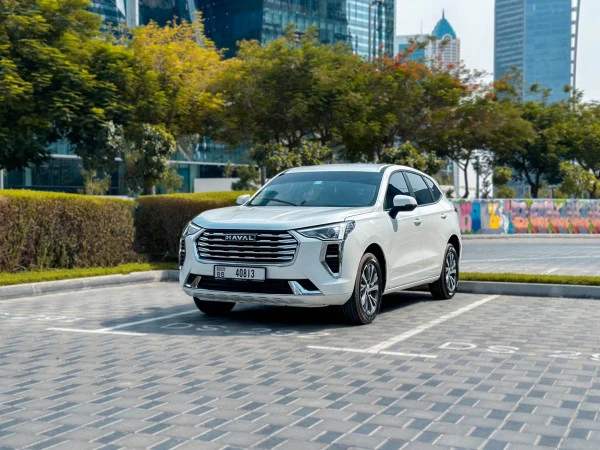  أبيض هافال جوليون Photo 2