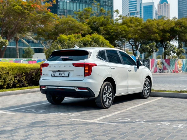  أبيض هافال جوليون Photo 5