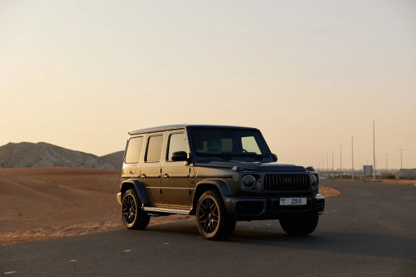  Grigio Mercedes G63 AMG Photo 2
