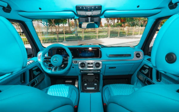  اللون الرمادي مرسيدس G63 AMG Photo 19