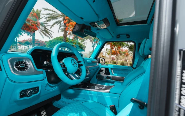  اللون الرمادي مرسيدس G63 AMG Photo 24