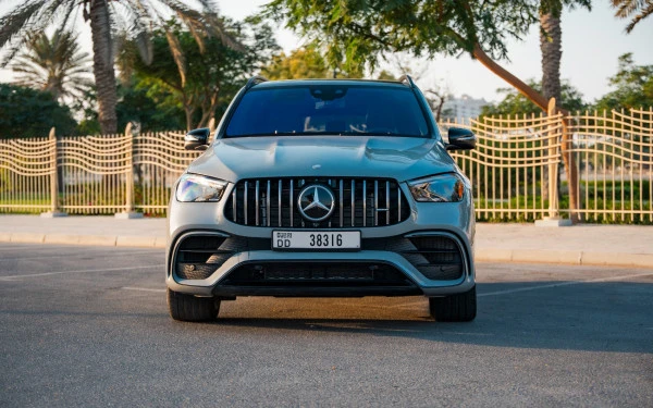  Grau Mercedes GLE 53 AMG Photo 21