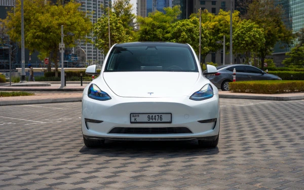  Белый Tesla Model Y Long Range Photo 3