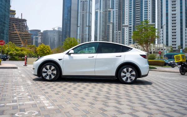  Белый Tesla Model Y Long Range Photo 7