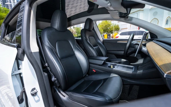  Белый Tesla Model Y Long Range Photo 12