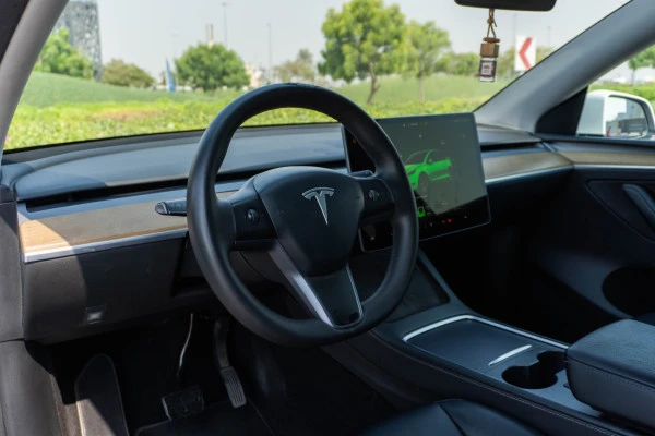  Weiß Tesla Model Y Long Range Photo 11